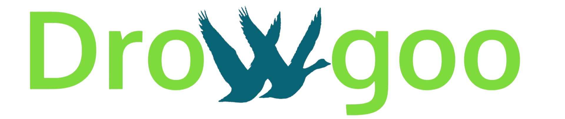 Drowgoo_Logo